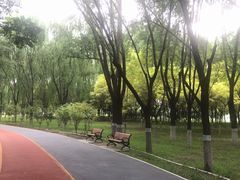 -大兴滨河森林公园