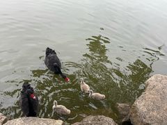 -珠海圆明新园