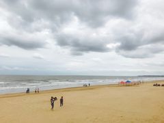 -日照海滨国家森林公园