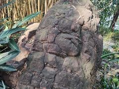 -蟹山公园