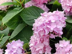 -常州古运河南大街文化旅游区-人民公园