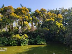 -人民公园(罗湖区)