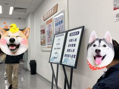-上海市徐汇区口腔医院