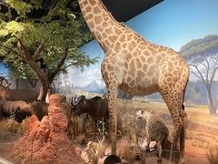 -陕西自然博物馆