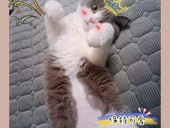 -联合动物医院(光谷诊疗中心)