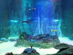 -沈阳海洋探索中心