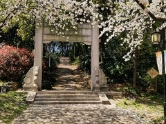 -苏州上方山国家森林公园