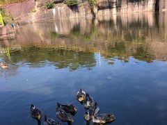 -广州莲花山旅游区