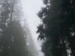 -山王坪喀斯特国家生态公园
