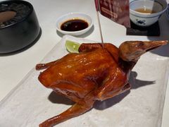 -侨美·唐荔园·40年地道粤菜