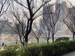 -望江楼公园