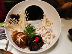 -洪氏嗨捞·猪肚鸡火锅(阳光天地店)