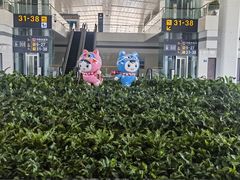 -石家庄正定国际机场-T2航站楼