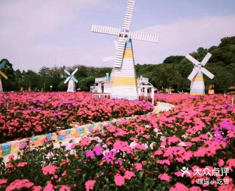 打开app查看高清大图 瑶瑶小吃货 2021年10月20日 关注 梦幻百花洲几