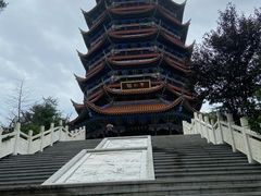 -铁山坪森林公园