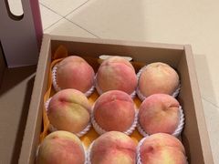 -老袁家蜜桃农场·阳山水蜜桃