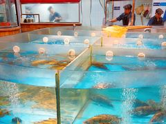 -耕渔小院·湖南鱼鲜(望城店)