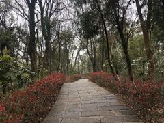 -三国赤壁古战场