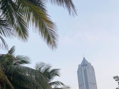 -万绿园