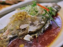 清蒸桂花鱼-鲍国演义(禅城店)