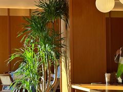 -奈雪的茶(大梅沙8号仓店)
