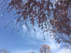 -轻井泽王子购物广场