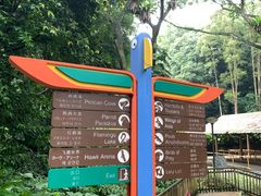 -新加坡飞禽公园