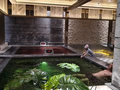 -青水瓦台汤泉(未央店)