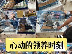 -万达广场(松江店)