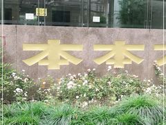 -本本大厦