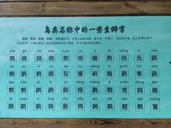 -梁鸿国家湿地公园