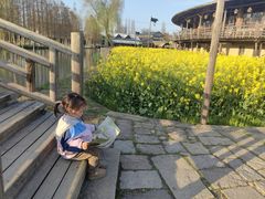 -乌村