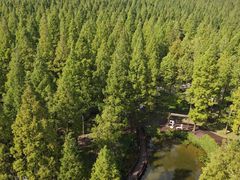 -黄海国家森林公园