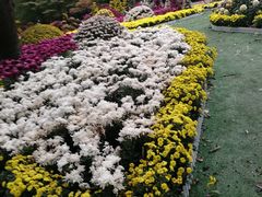 -上海市龙华烈士陵园