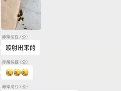 -南京Hallo宠物乐园·哈罗犬舍·柴犬繁育基地