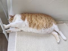 -小时光咖啡馆(北锣鼓巷店)