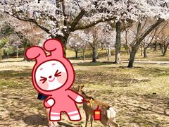 -奈良公园