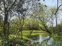 -西溪国家湿地公园