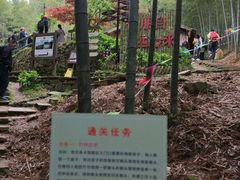 -宁波浙东大竹海景区