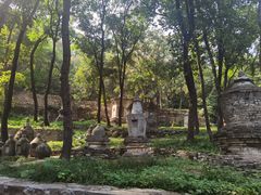 -北京上方山国家森林公园