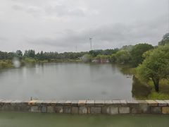 -东海森林温泉度假酒店