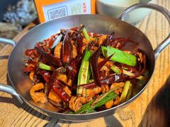 -毛辣果·酸