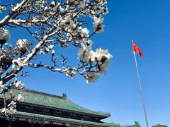 -北平图书馆旧址