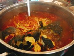 -弘烨 贵州酸汤 鱼火锅(东财店)