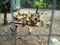 -邹记·美食(斗门店)