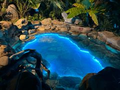 -天芳悦潭度假村温泉