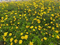 -汉长安城未央宫国家考古遗址公园