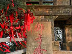 -缙云山景区
