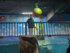 -常州海昌海洋探索馆