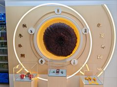 -广州神农草堂中医药博物馆